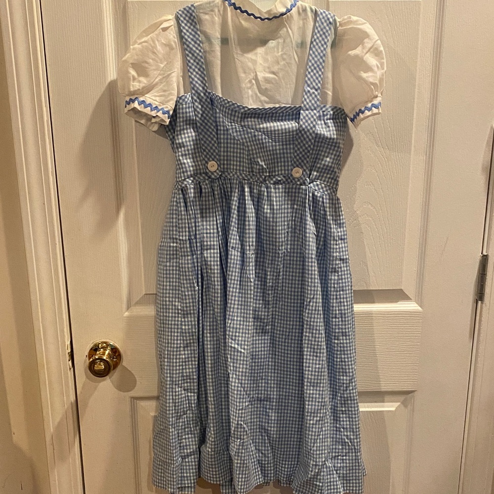 Charming Blue Checkered Kids Costume Dress